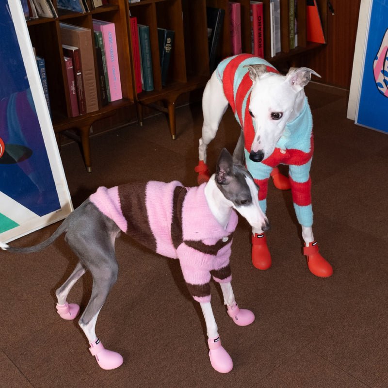 Dog Soft Turtleneck Sweater Knitwear Clothing Cardigan for Greyhound Whippet iggy - PIKAPIKA