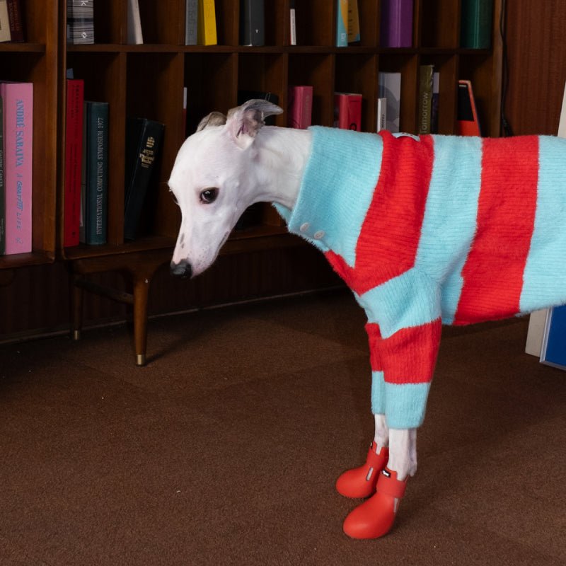Dog Soft Turtleneck Sweater Knitwear Clothing Cardigan for Greyhound Whippet iggy - PIKAPIKA
