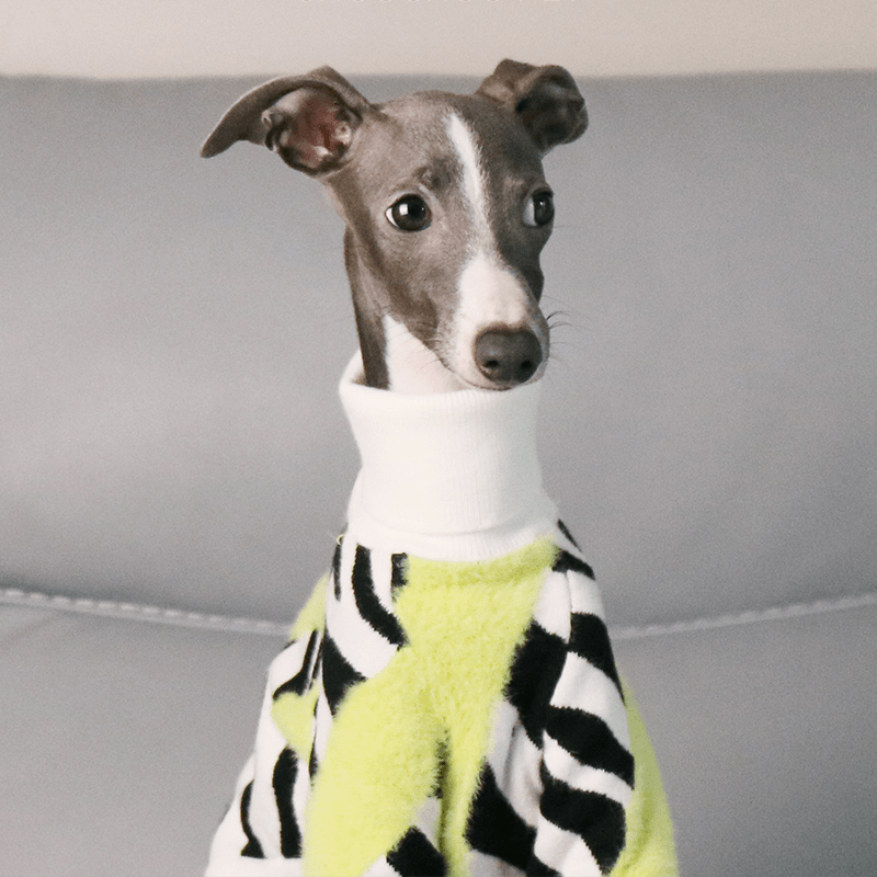 Dog Sweater Italian Greyhound Whippet Knit Wear Soft Warm - PIKAPIKA