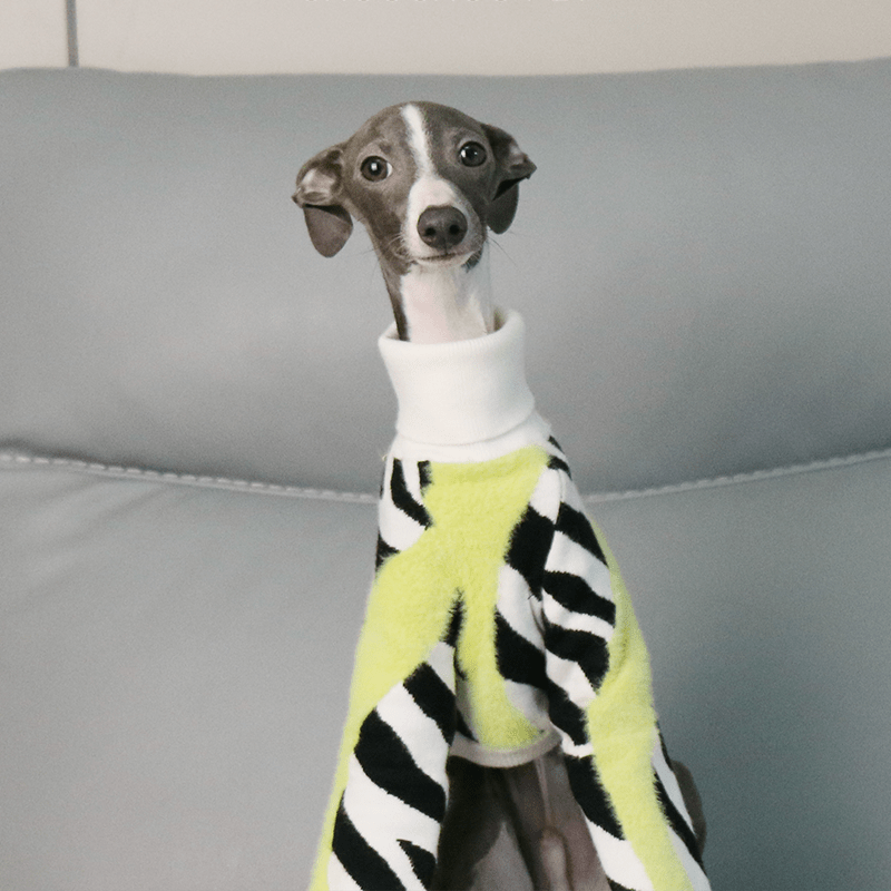Dog Sweater Italian Greyhound Whippet Knit Wear Soft Warm - PIKAPIKA