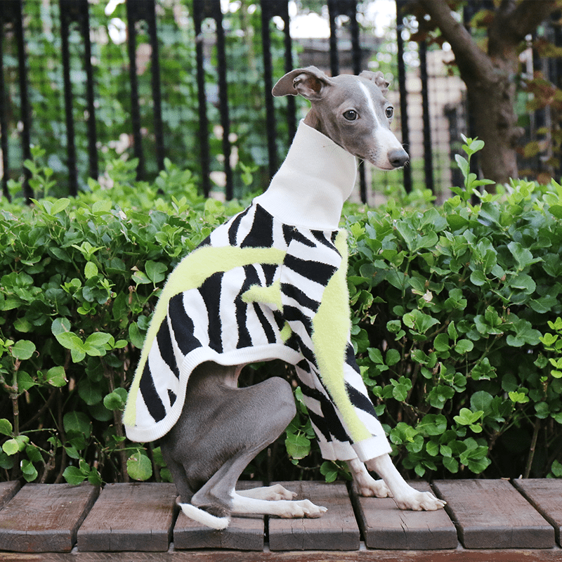 Dog Sweater Italian Greyhound Whippet Knit Wear Soft Warm - PIKAPIKA