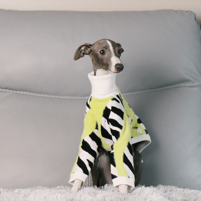 Dog Sweater Italian Greyhound Whippet Knit Wear Soft Warm - PIKAPIKA