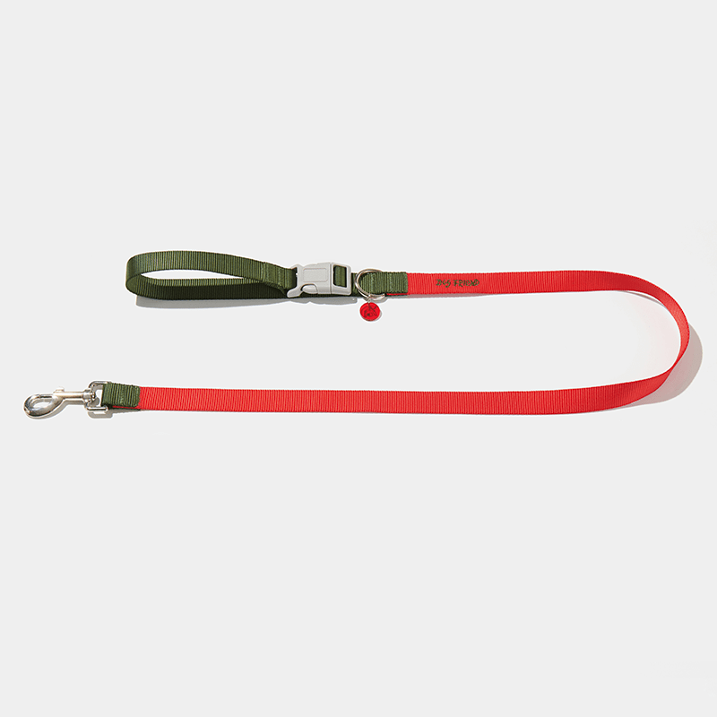 Dog Walking Kit Reflective Adjustable Collar with Leash - PIKAPIKA