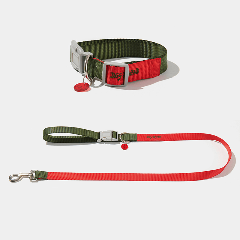 Dog Walking Kit Reflective Adjustable Collar with Leash - PIKAPIKA