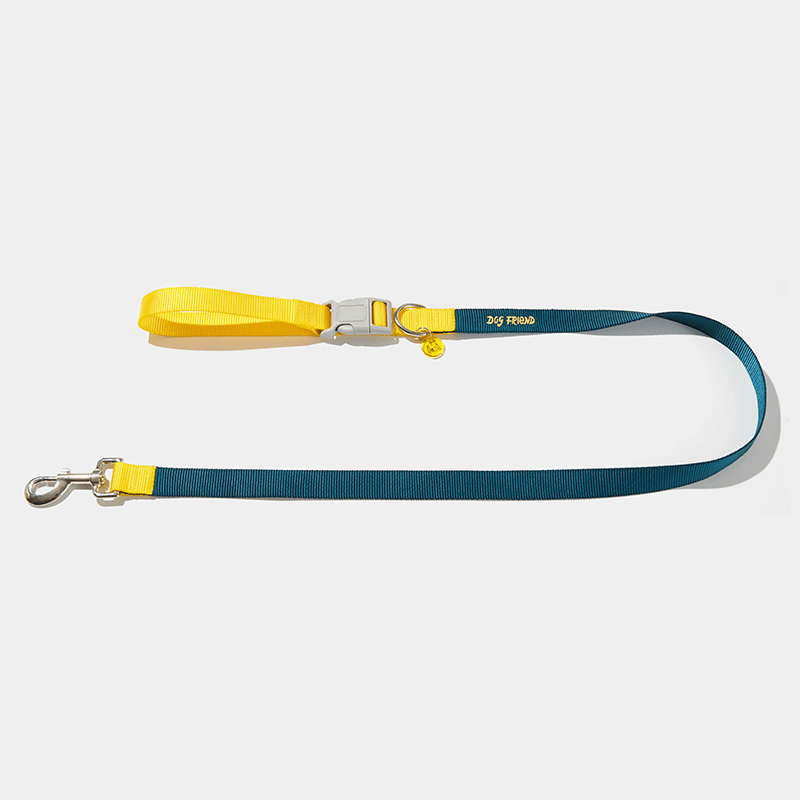 Dog Walking Kit Reflective Adjustable Collar with Leash - PIKAPIKA