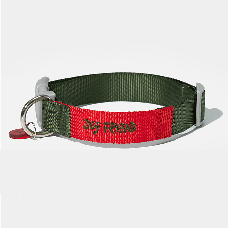 Dog Walking Kit Reflective Adjustable Collar with Leash - PIKAPIKA