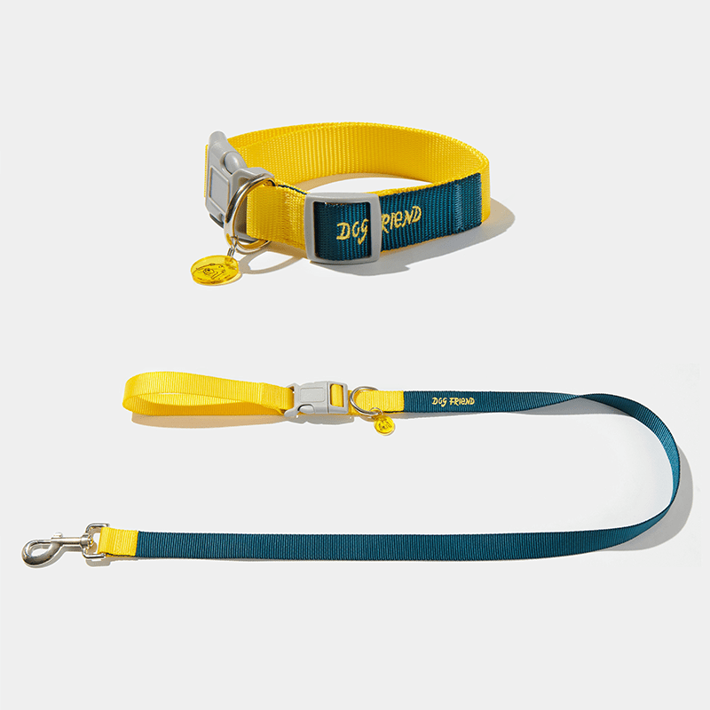 Dog Walking Kit Reflective Adjustable Collar with Leash - PIKAPIKA