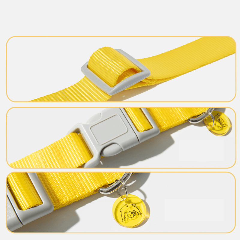 Dog Walking Kit Reflective Adjustable Collar with Leash - PIKAPIKA