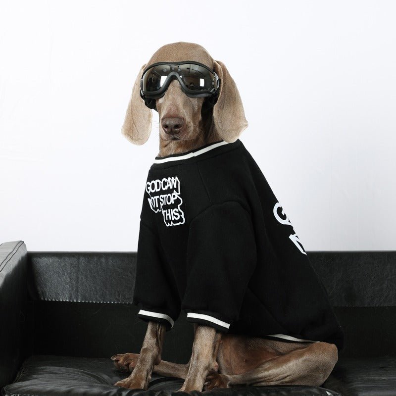 Dog Windproof Goggles - PIKAPIKA