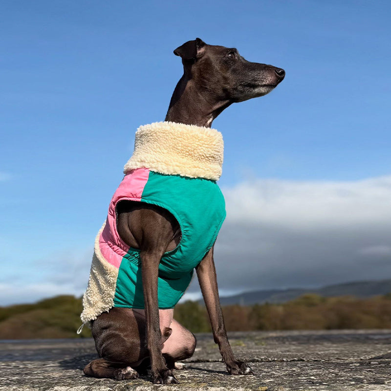 Winter Fleece Whippet Dog Vests Warm Vest Pet Clothes
