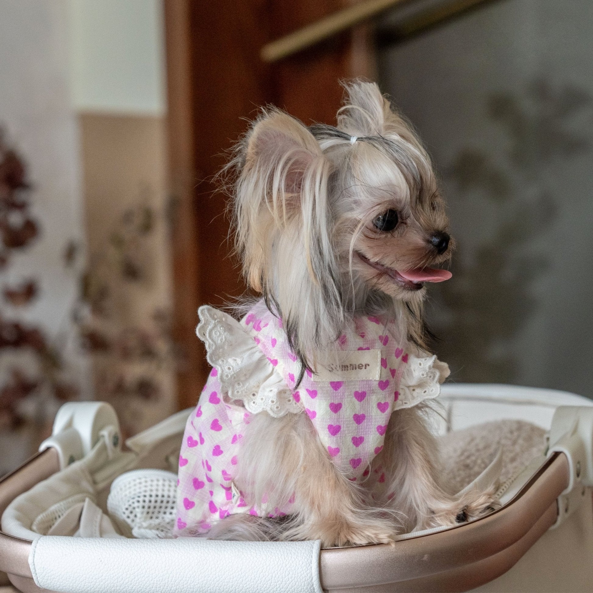 Doll Style Lightweight Vest with Heart Print for Toy Dogs - PIKAPIKA