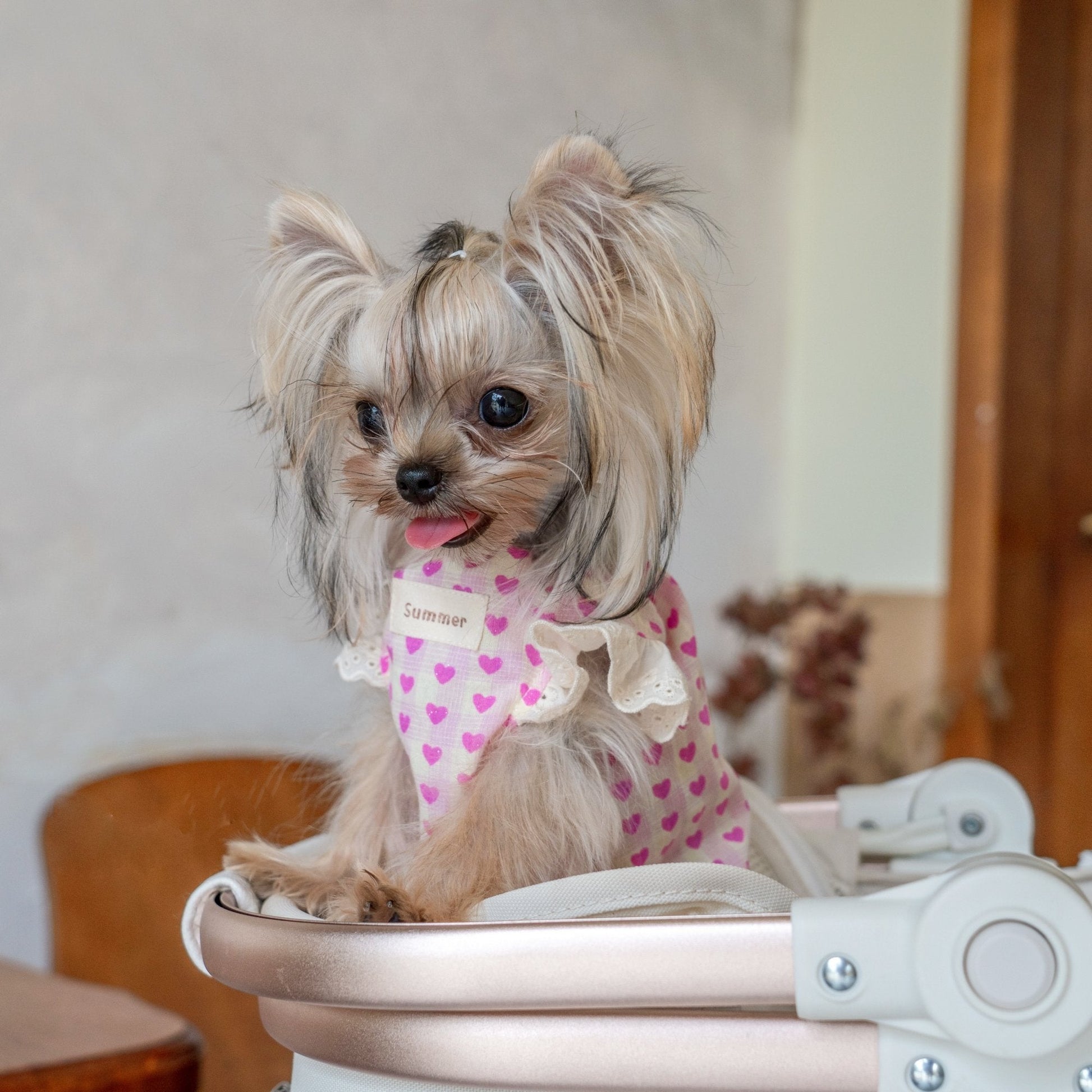 Doll Style Lightweight Vest with Heart Print for Toy Dogs - PIKAPIKA