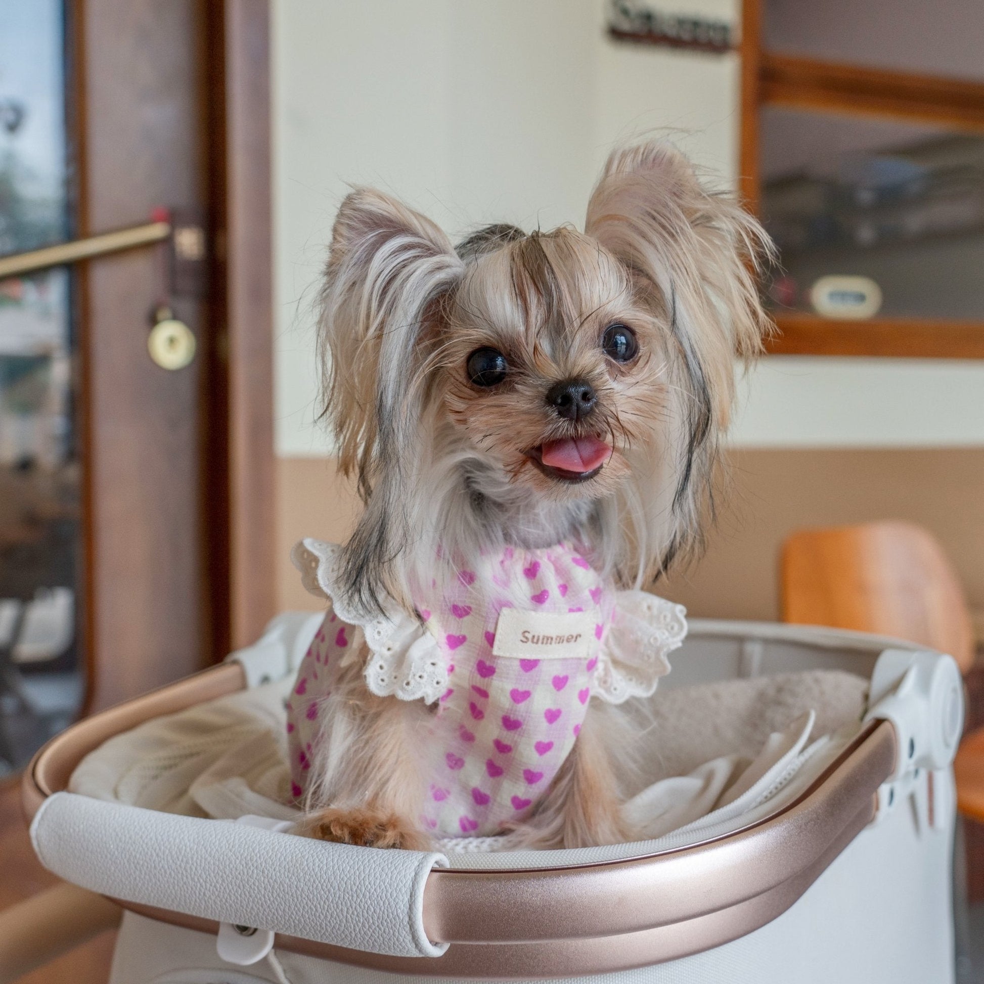 Doll Style Lightweight Vest with Heart Print for Toy Dogs - PIKAPIKA