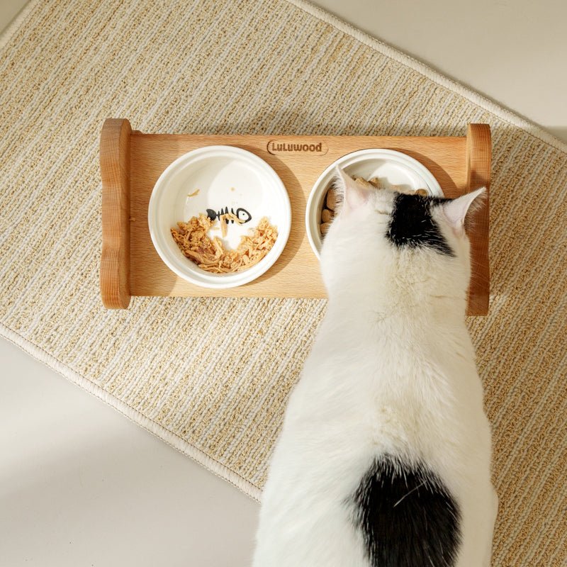 Double Ceramic Pet Bowl Food Water Bowl Wooden Holder - PIKAPIKA