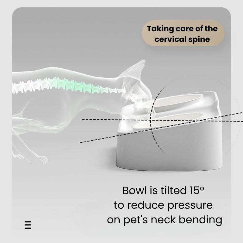 Double Ceramic Pet Food Bowl Dog Water Bowl With Holder - PIKAPIKA