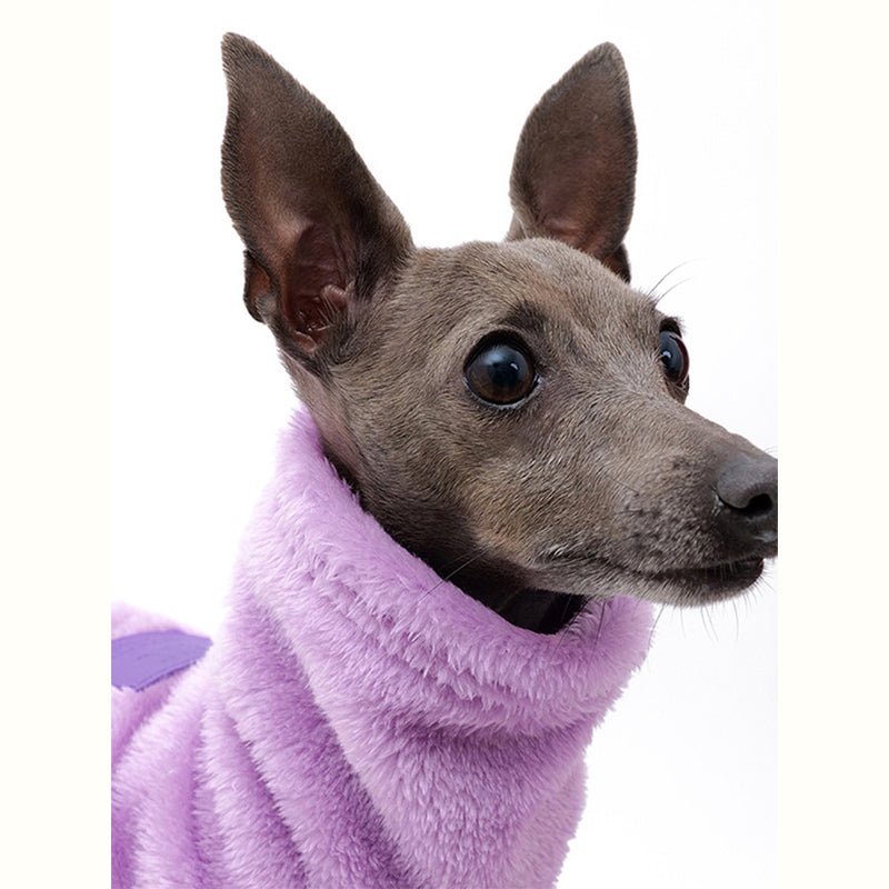 Double Fleece Shirts Italian greyhound Whippet Dog Clothes - PIKAPIKA