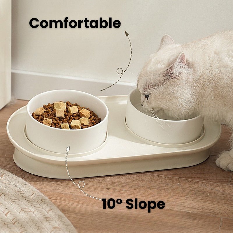 Double Pet Food Bowl Ceramic Dog Cat Water Bowl 10° Slope With Holder - PIKAPIKA