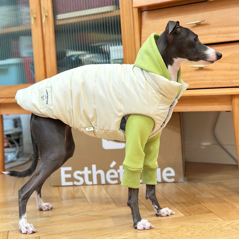 Down Padded Jacket Vest Italian Greyhound Whippet Dog Clothes - PIKAPIKA