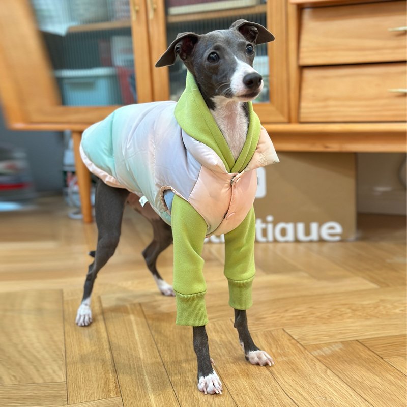 Down Padded Jacket Vest Italian Greyhound Whippet Dog Clothes - PIKAPIKA