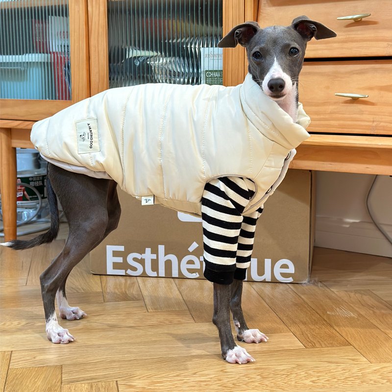 Down Padded Jacket Vest Italian Greyhound Whippet Dog Clothes - PIKAPIKA