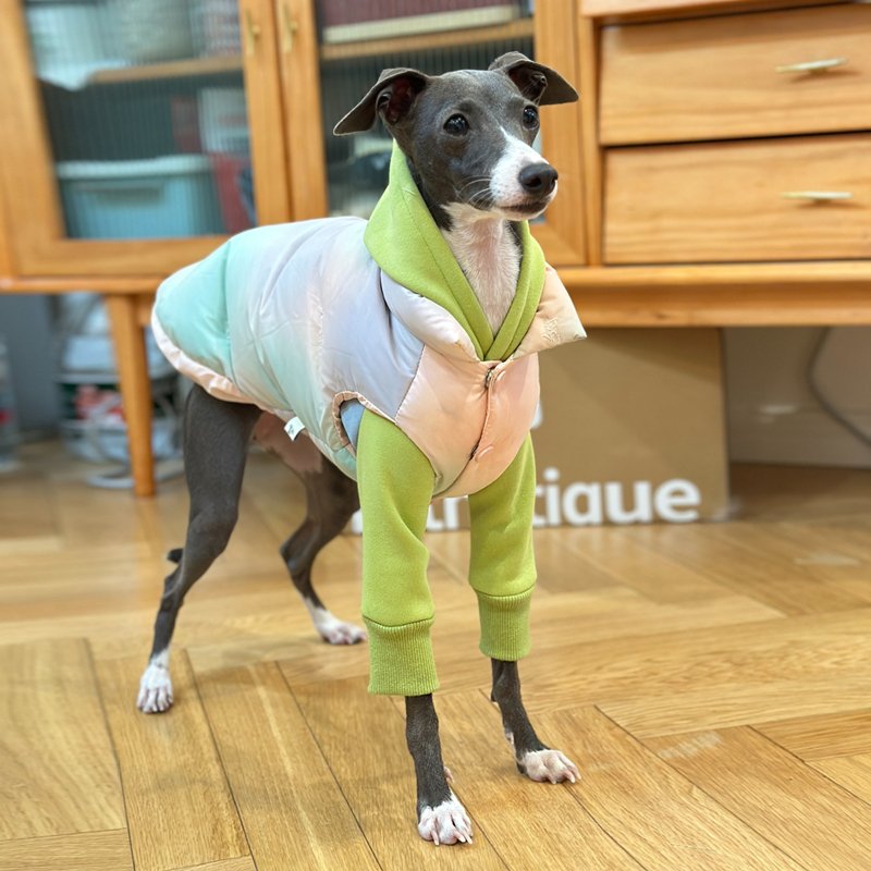Down Padded Jacket Vest Italian Greyhound Whippet Dog Clothes - PIKAPIKA