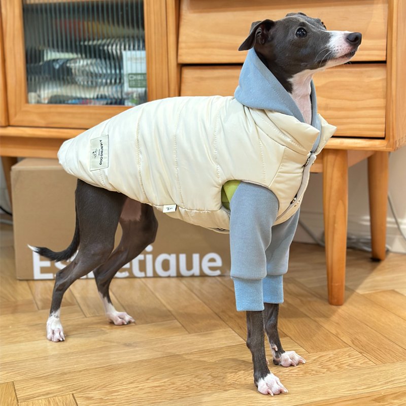 Down Padded Jacket Vest Italian Greyhound Whippet Dog Clothes - PIKAPIKA