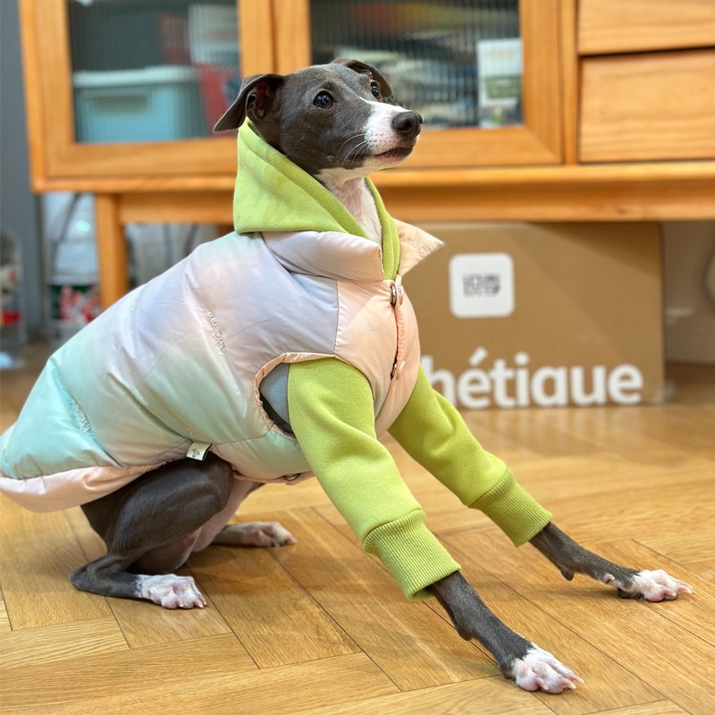 Down Padded Jacket Vest Italian Greyhound Whippet Dog Clothes - PIKAPIKA
