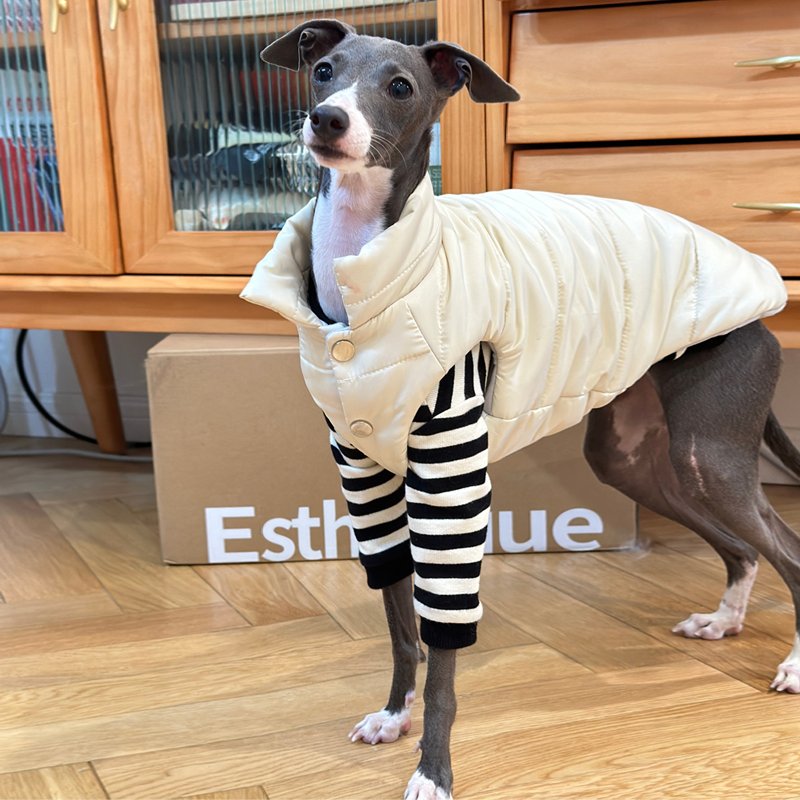Down Padded Jacket Vest Italian Greyhound Whippet Dog Clothes - PIKAPIKA