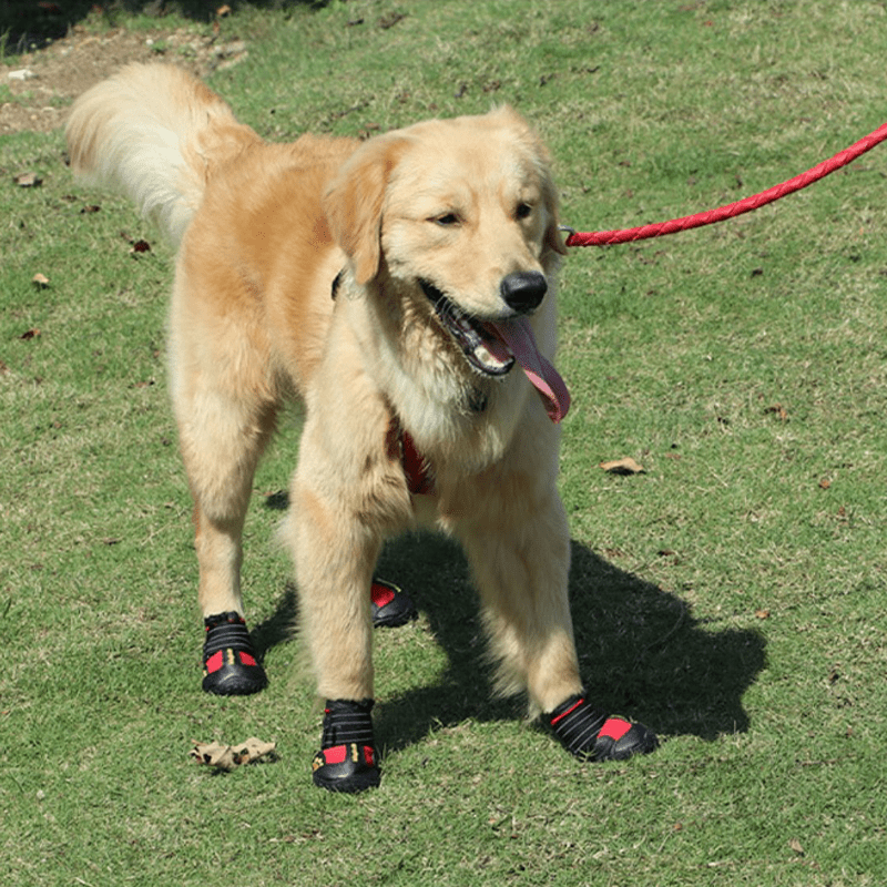 Durable Anti - Slip Dog Boots Waterproof Snow Boots - PIKAPIKA