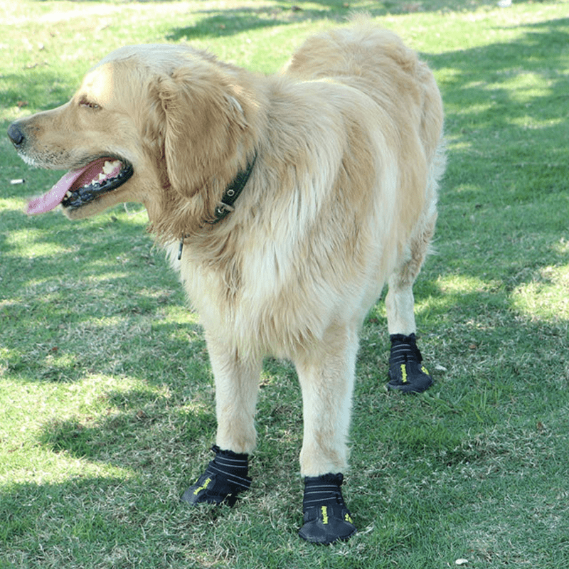 Durable Anti - Slip Dog Boots Waterproof Snow Boots - PIKAPIKA