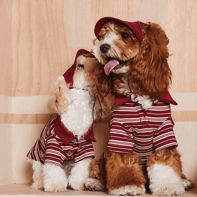 Red Stripe Dog Shirt - Classic Cotton Pet T-Shirt