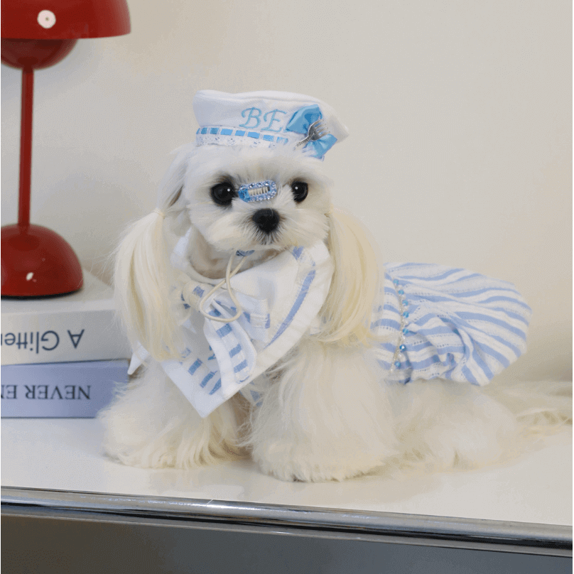 BELO Navy Stripe Dog Dress, Stylish Pet Overall