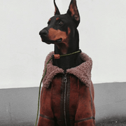 Faux Leather Dog Jacket - Plush Lined Collar Coat for Warmth