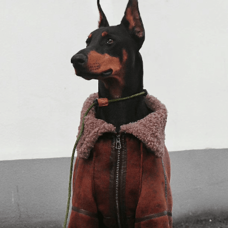 Faux Leather Dog Jacket - Plush Lined Collar Coat for Warmth