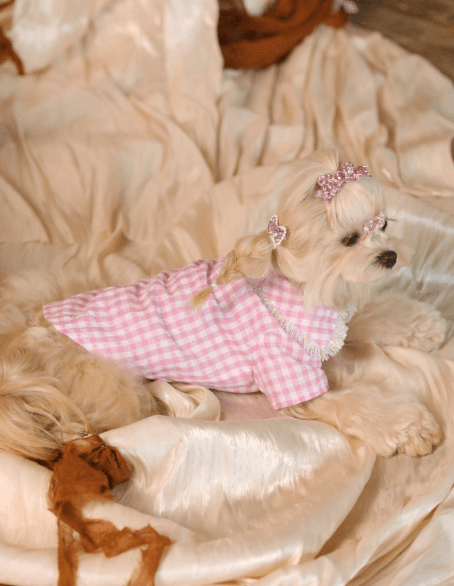 BELO Pink Plaid Dog Shirt – Classic Check Pet Outfit for Small Dogs & Puppies