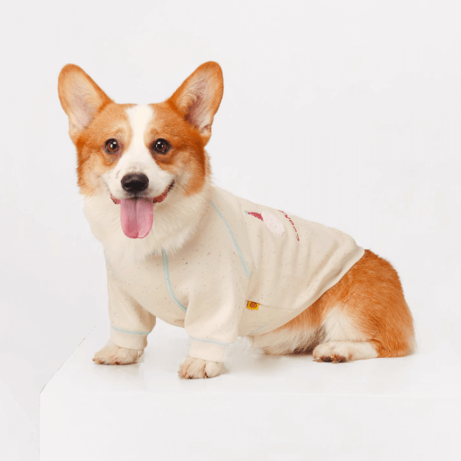 Corgi Dog Clothes – Soft Non-Irritating Pet Apparel