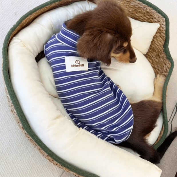 Dog Striped Bodysuit – Soft Non-Irritating Leggings