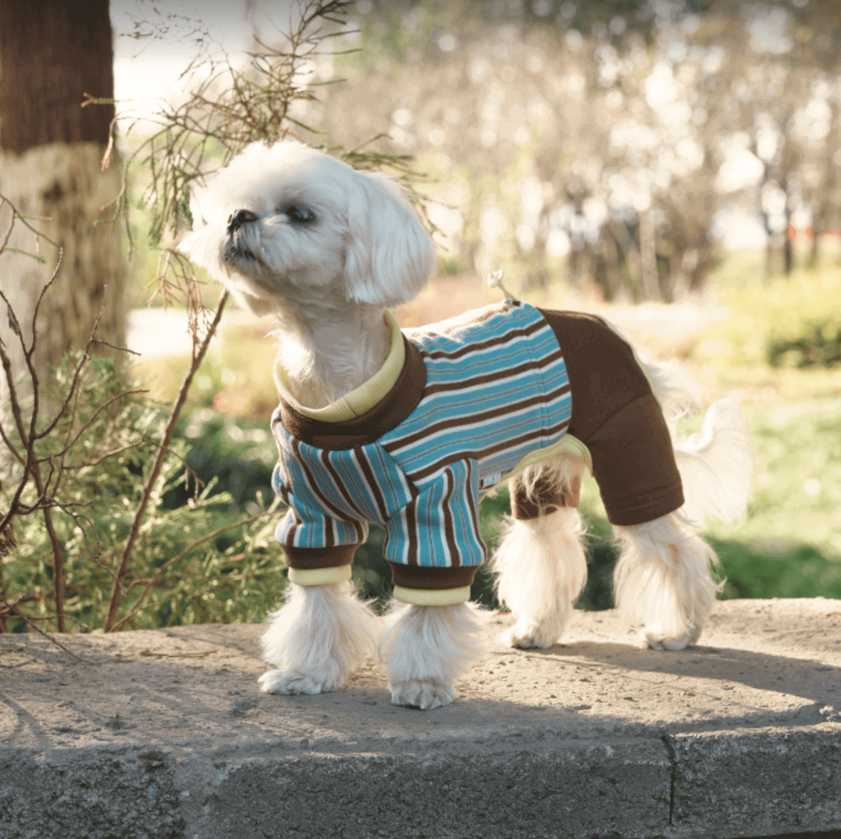 Striped Dog Recovery Suit – Soft Protective Onesie for Pets