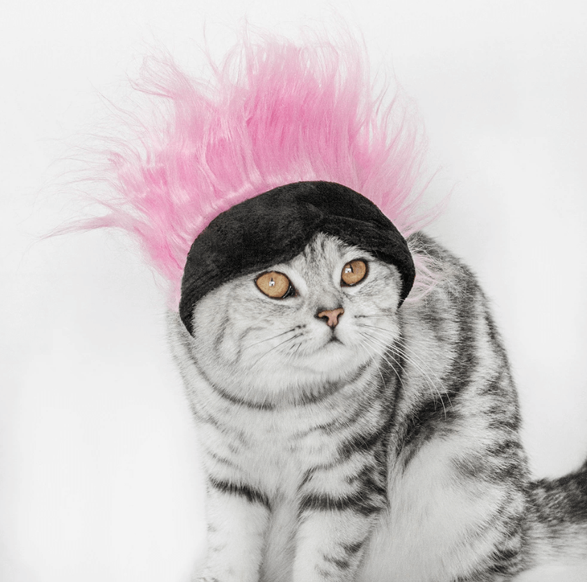 Funny Pet Wig Hat for Cats & Dogs | Pet Costume Mask Party Headwear | Halloween Cosplay Photo Prop