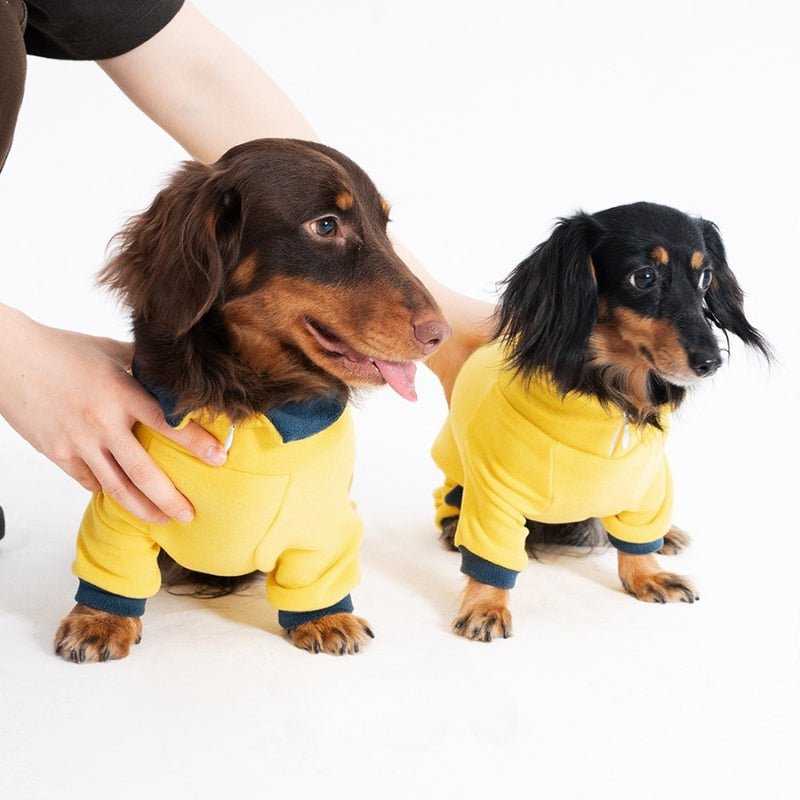 Elastic Polo Onesies Warm Dachshund 4 Legs Clothes - PIKAPIKA