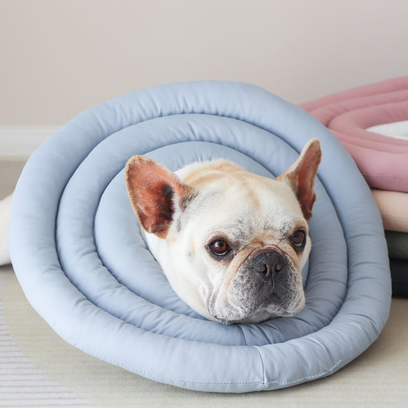 Elizabeth Cone Adjustable Collar for Dog & Cat - PIKAPIKA