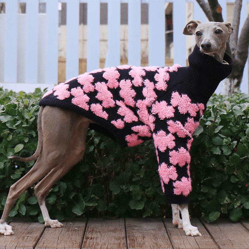 Embroidered High Neck Thick Dog Sweater for Italian Greyhound Whippet - PIKAPIKA