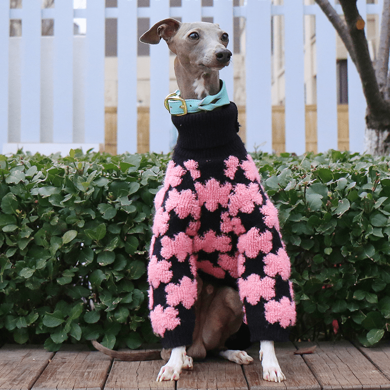 Embroidered High Neck Thick Dog Sweater for Italian Greyhound Whippet - PIKAPIKA