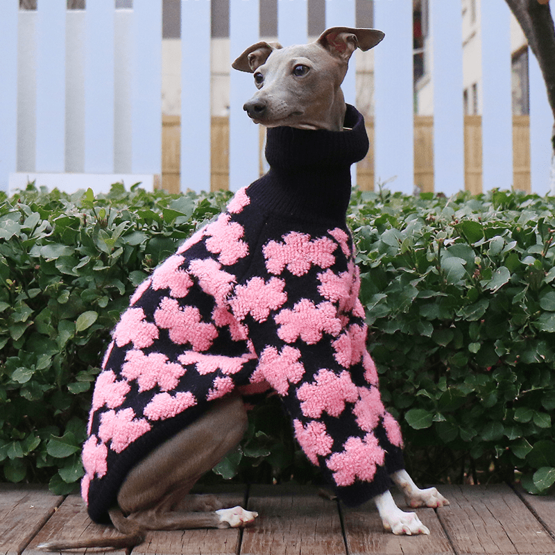 Embroidered High Neck Thick Dog Sweater for Italian Greyhound Whippet - PIKAPIKA