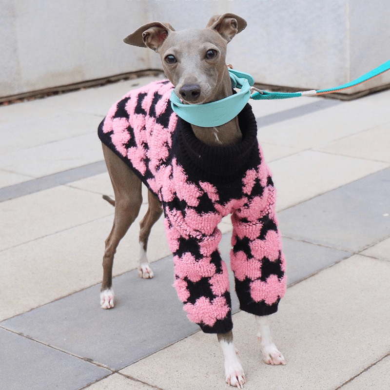 Embroidered High Neck Thick Dog Sweater for Italian Greyhound Whippet - PIKAPIKA