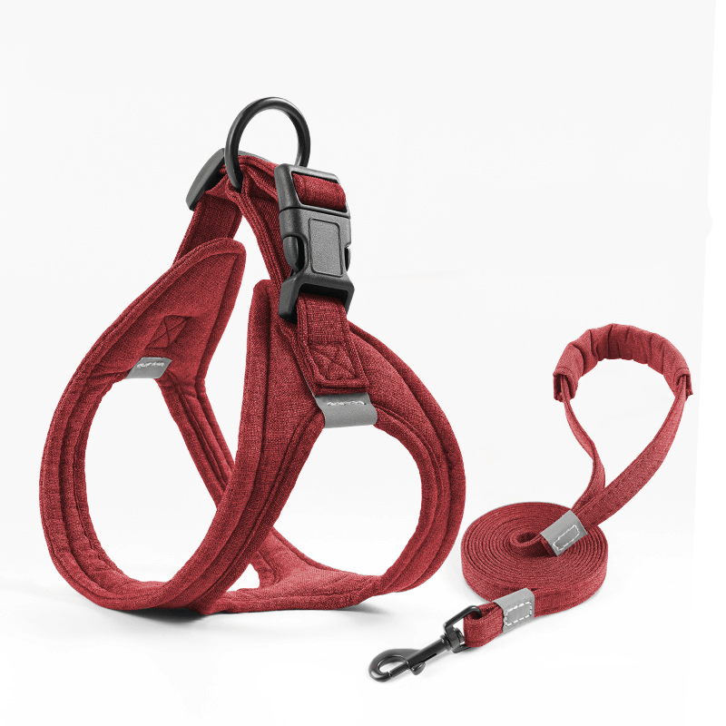 Escape - Proof Dog Harness Leash Set for Small Medium Dogs - PIKAPIKA