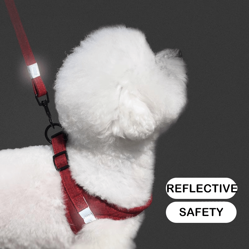 Escape - Proof Dog Harness Leash Set for Small Medium Dogs - PIKAPIKA