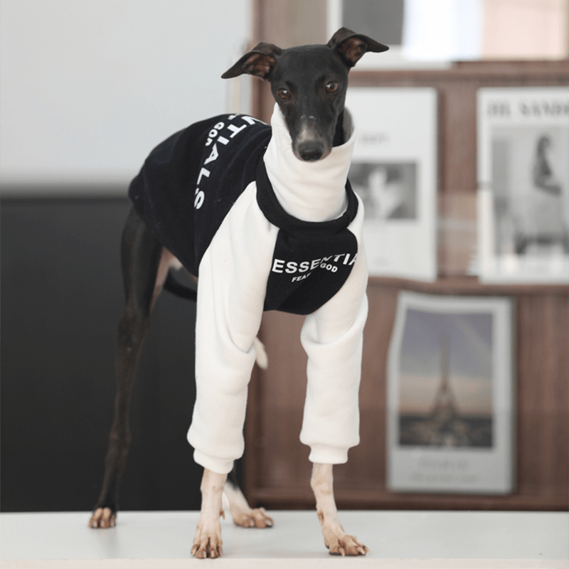 Essantial Athletic Sweatshirt Hoodie Italian Greyhound Whippet Dog Clothes - PIKAPIKA