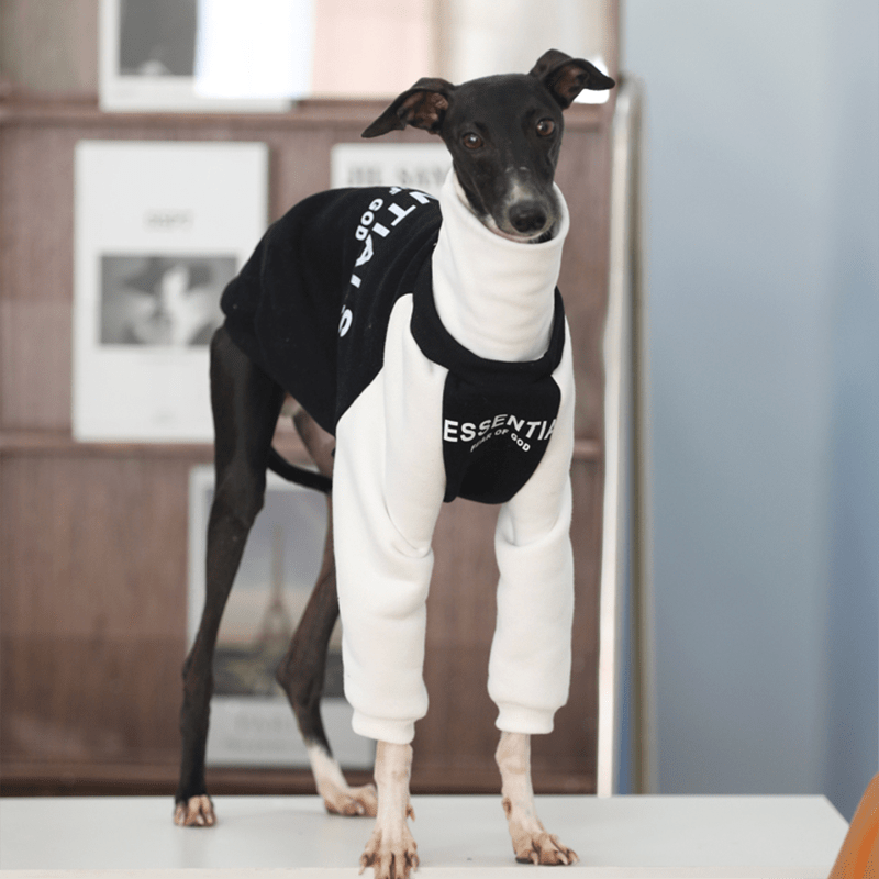 Essantial Athletic Sweatshirt Hoodie Italian Greyhound Whippet Dog Clothes - PIKAPIKA