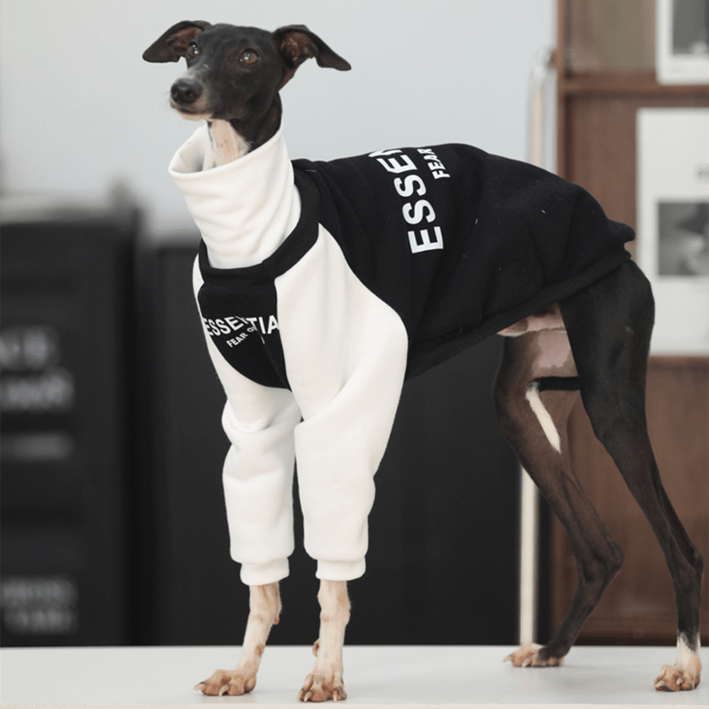 Essantial Athletic Sweatshirt Hoodie Italian Greyhound Whippet Dog Clothes - PIKAPIKA